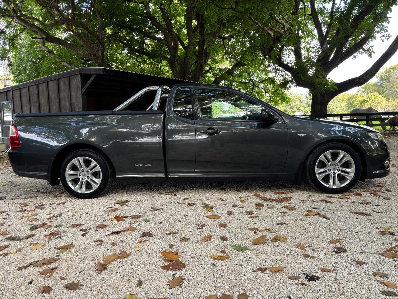 2009 Ford Falcon