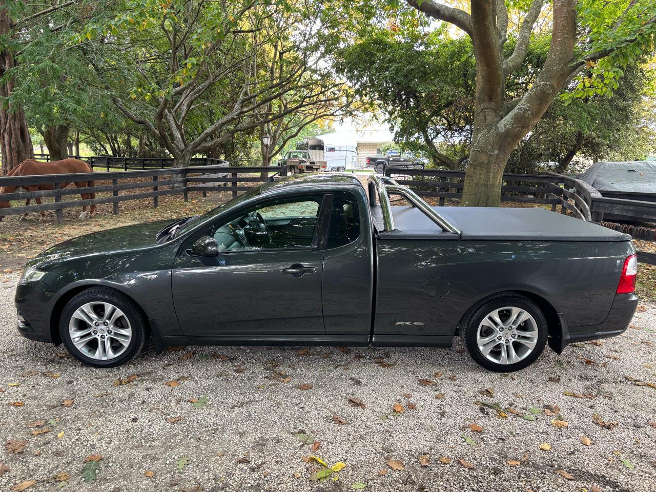 2009 Ford Falcon